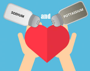 Sodium And Potassium
