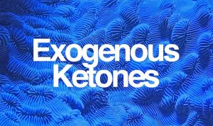 What is Ketones?